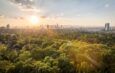 Blick auf die Skyline von Frankfurt bei Sonnenuntergang, umgeben von üppiger grüner Landschaft und Waldgebieten im Vordergrund."