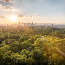 Blick auf die Skyline von Frankfurt bei Sonnenuntergang, umgeben von üppiger grüner Landschaft und Waldgebieten im Vordergrund."