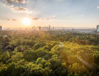 Blick auf die Skyline von Frankfurt bei Sonnenuntergang, umgeben von üppiger grüner Landschaft und Waldgebieten im Vordergrund."