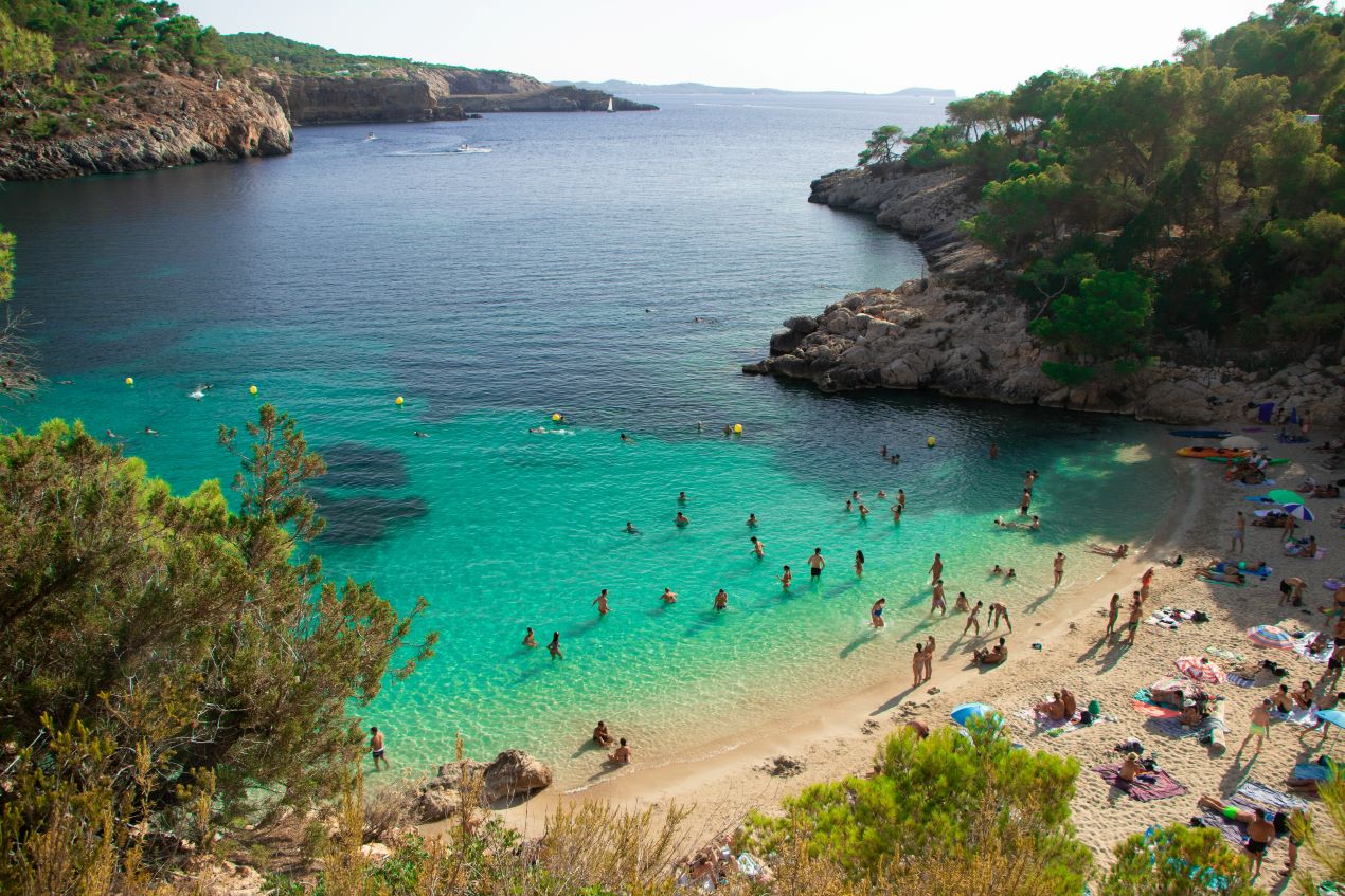 Strandbesucher genießen die Cala Salada auf Ibiza mit kristallklarem Wasser, umgeben von grünen Pinienhügeln und ideal für einen Ausflug nach dem Besuch eines Ibiza Restaurants.