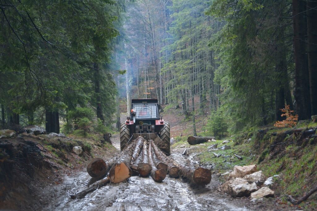 Traktor mit Seilwinde im Wald für Holztransport