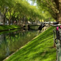 Fahrrad im Park in der Nähe des Flusses auf hellem, sonnigem, sommergrünem Hintergrund