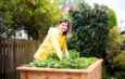 Frau mit gelber Jacke am Hochbeet bei der Arbeit im Gartenbau Mannheim mit regionaler Bepflanzung