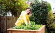 Frau mit gelber Jacke am Hochbeet bei der Arbeit im Gartenbau Mannheim mit regionaler Bepflanzung