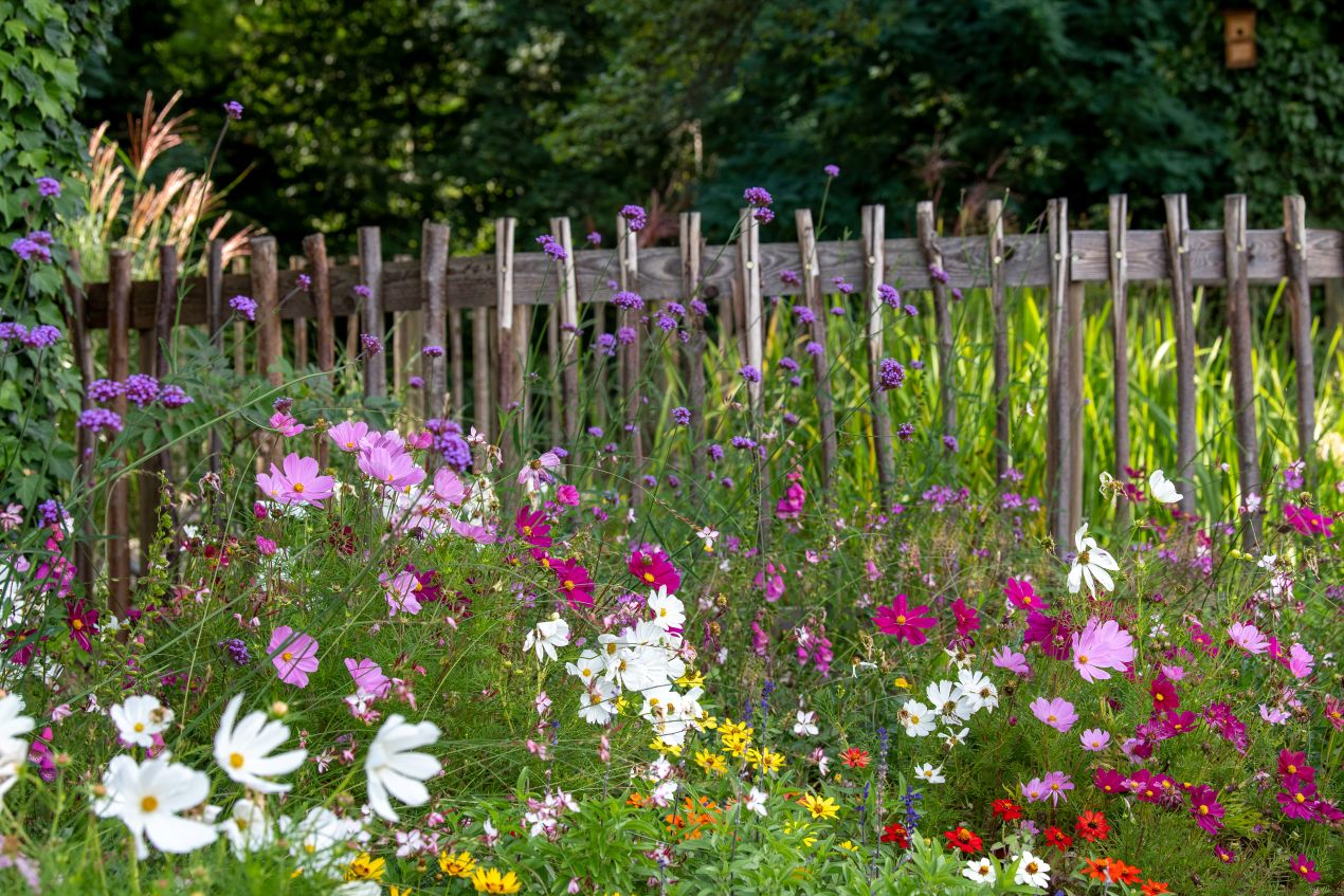 Blumenbeet mit heimischen Wildpflanzen vor einem Holzzaun im Gartenbau Mannheim zur pflegeleichten Gartengestaltung